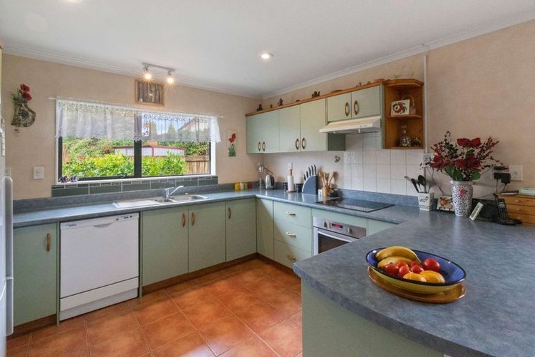 Photo of property in 9 Heaphy Place, Pukehangi, Rotorua, 3015