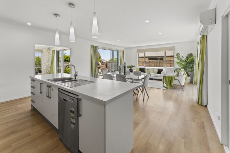 Photo of property in 17 Joyce Place, Richmond, 7020