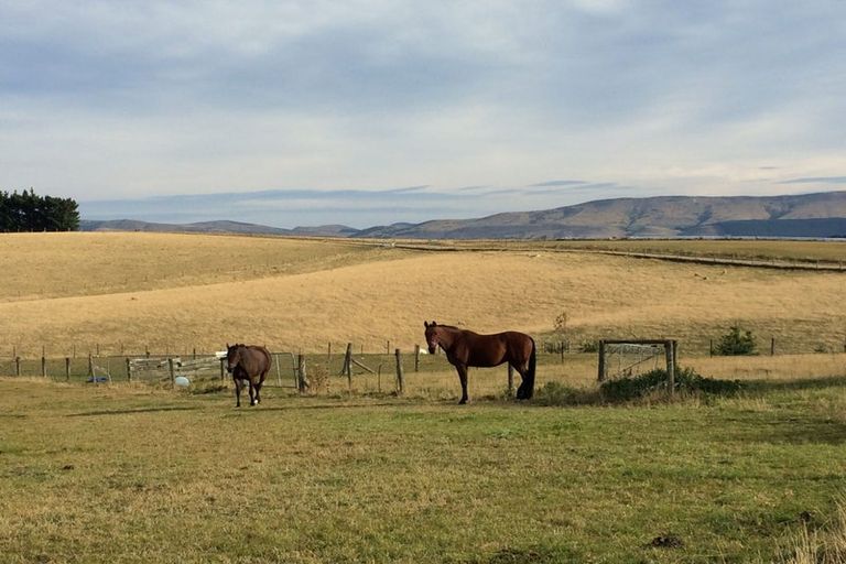 Photo of property in 86 Totara Island Road, Clifton, Balclutha, 9273