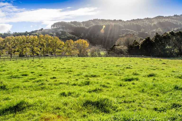 Photo of property in 1149b Whangaripo Valley Road, Whangaripo, Wellsford, 0972