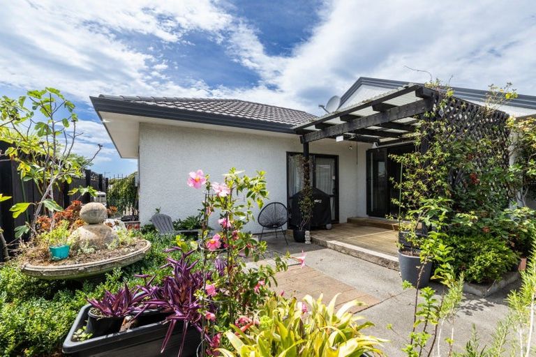 Photo of property in 19 Ayrshire Drive, Havelock North, 4130