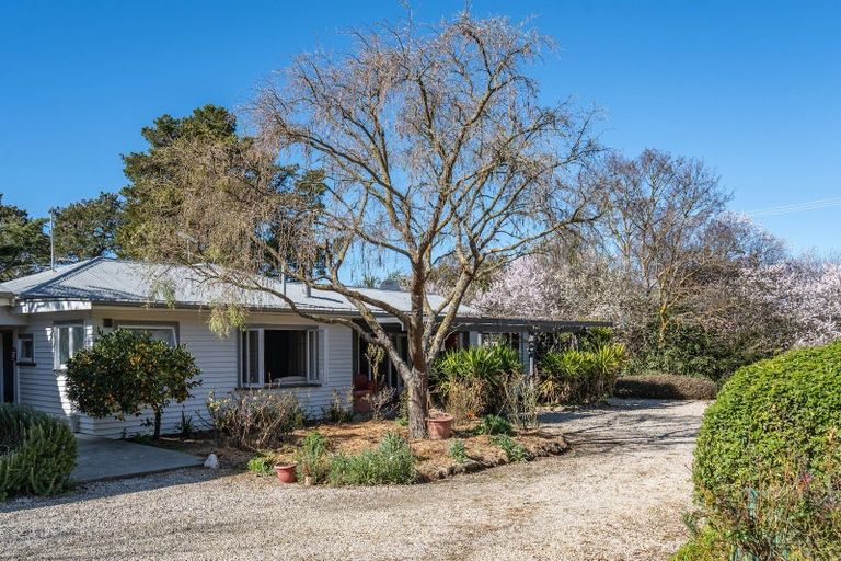 Photo of property in 328 Purchas Road, Glasnevin, Amberley, 7482