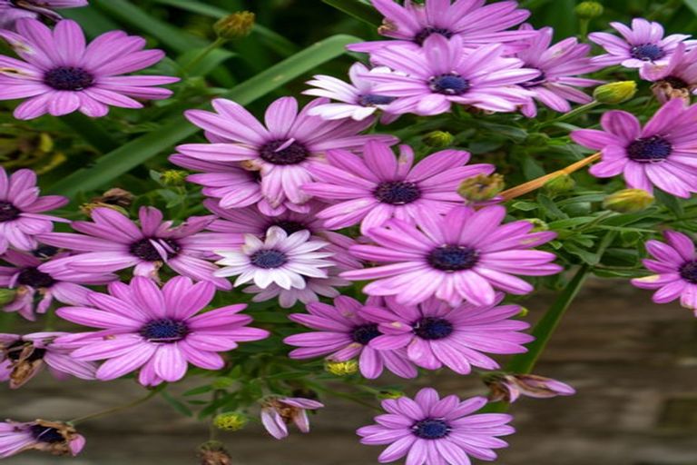 Photo of property in 8 Grace Avenue, Leamington, Cambridge, 3432