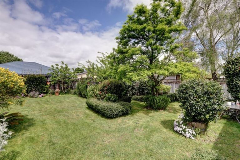 Photo of property in 56 Radiata Street, Fairview Downs, Hamilton, 3214