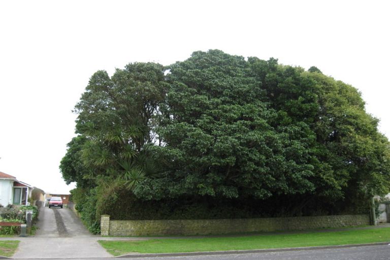 Photo of property in 16 Sackville Street, Fitzroy, New Plymouth, 4312
