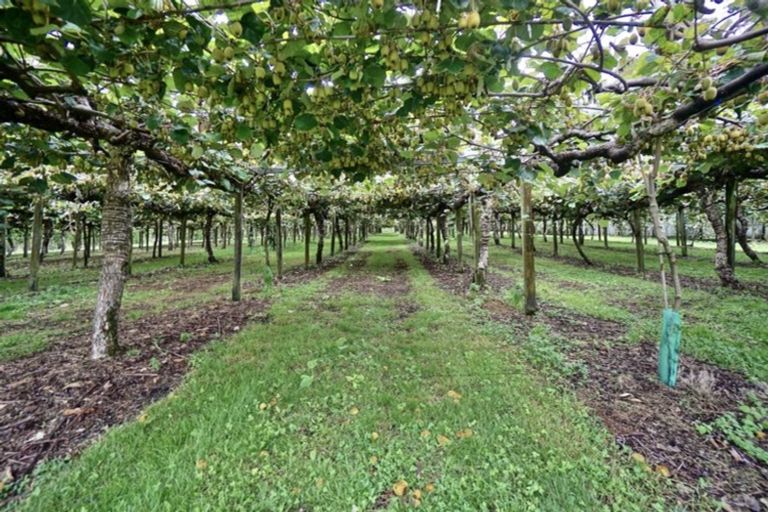 Photo of property in 882 Te Matai Road, Te Ranga, Te Puke, 3188