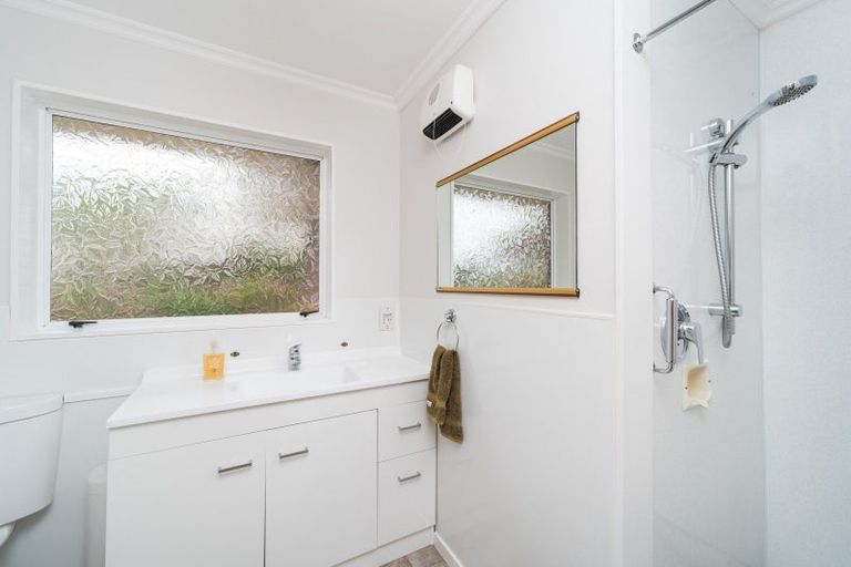 Photo of property in 45 Dittmer Drive, Awapuni, Palmerston North, 4412