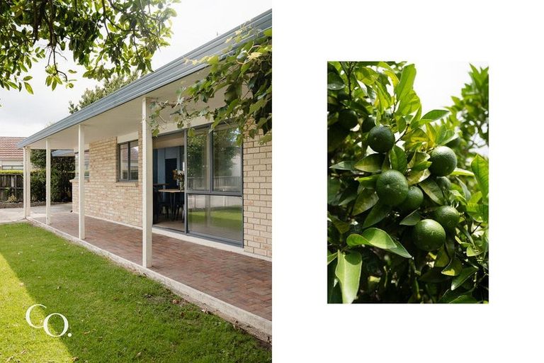 Photo of property in 267 Maungatapu Road, Maungatapu, Tauranga, 3112