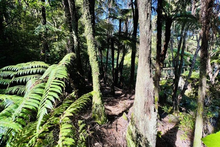 Photo of property in 600 Buffalo Road, Coromandel, 3506
