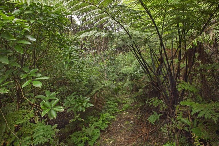 Photo of property in 1615 Whaanga Road, Raglan, 3296