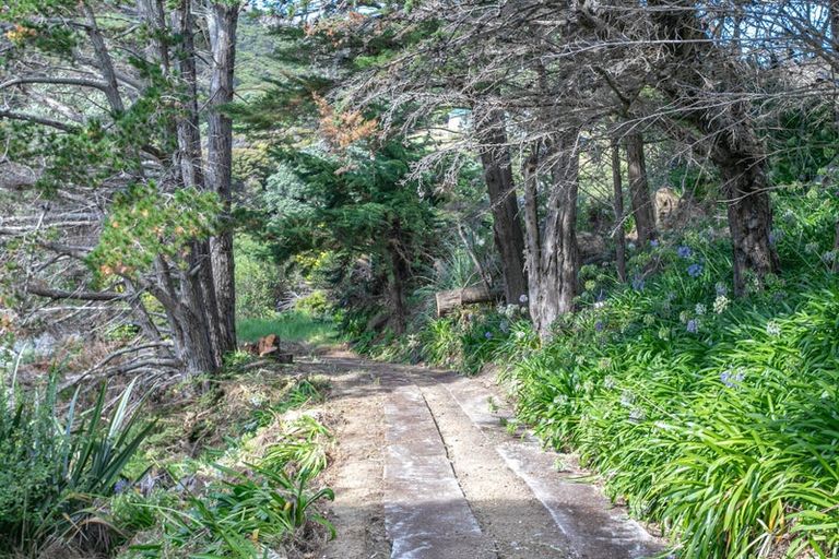 Photo of property in 14 Woods Road South, Colville, Coromandel, 3584