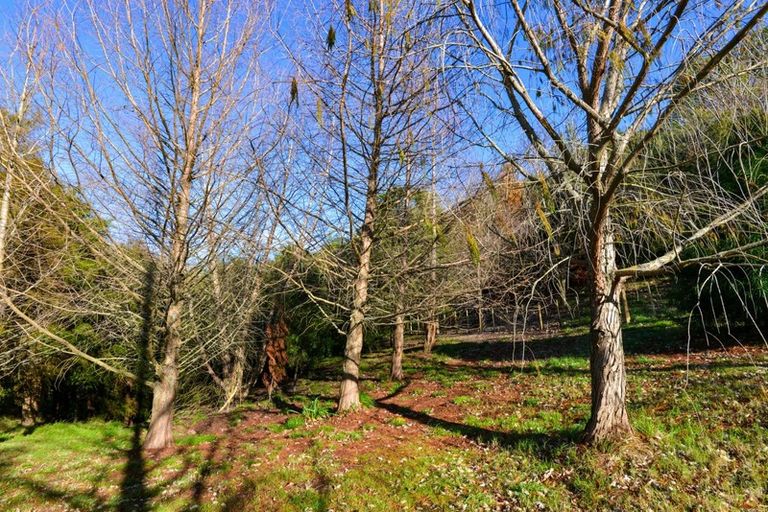 Photo of property in 81 Nilgiri Road, Poraiti, Napier, 4182