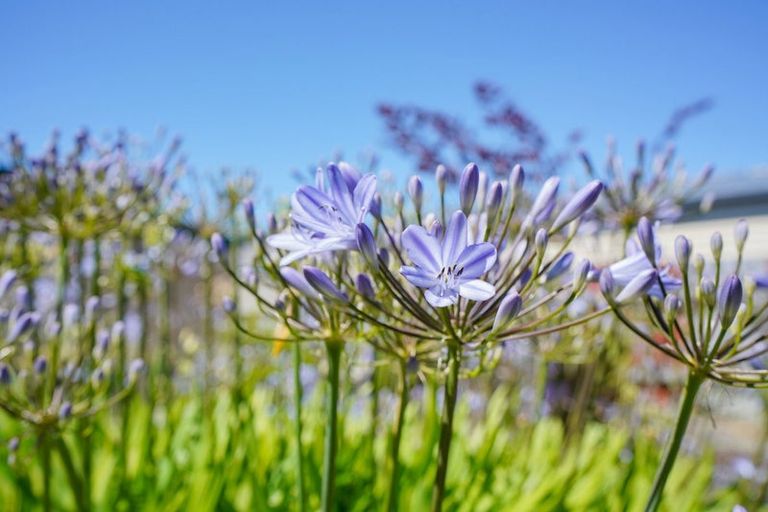 Photo of property in 19 York Street, Strathern, Invercargill, 9812
