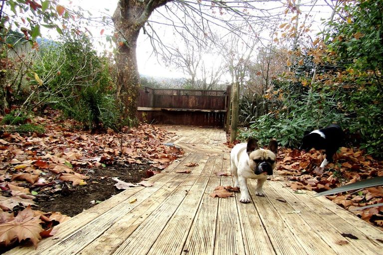 Photo of property in 26 Briggs Road, Onamalutu, Wairau Valley, 7275