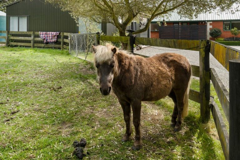 Photo of property in 604 Newtons Road, Rolleston, Christchurch, 7675