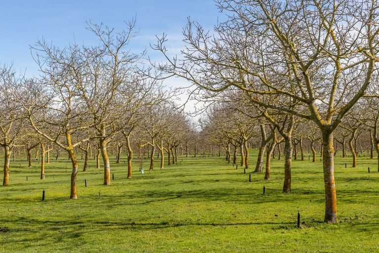 Photo of property in 973 Hoskyns Road, West Melton, Christchurch, 7671