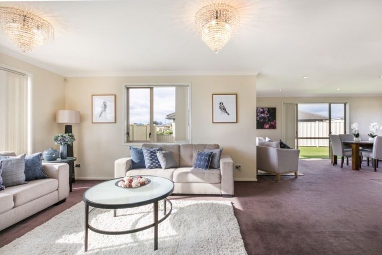 Photo of property in 10 Northwood Avenue, Mahora, Hastings, 4120