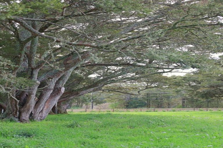 Photo of property in 519 Kara Road, Maungatapere, Whangarei, 0179