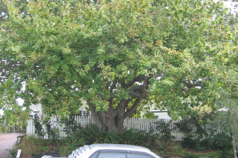 Photo of property in 6 Rambler Crescent, Beach Haven, Auckland, 0626