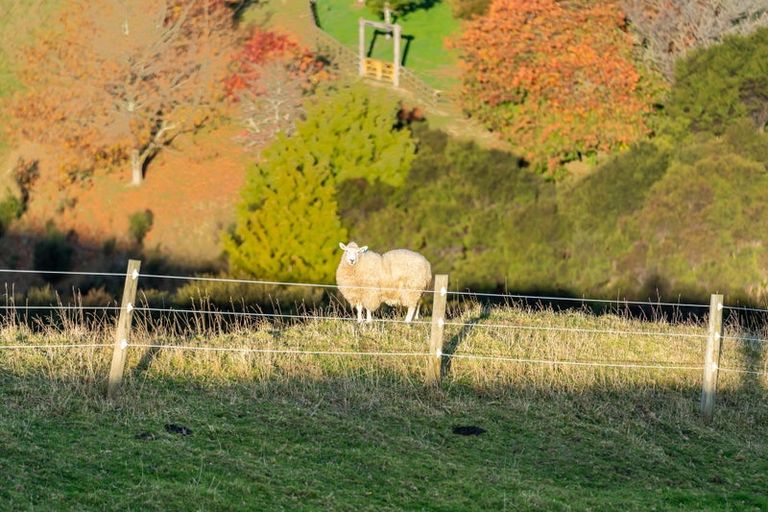 Photo of property in 105a Bradey Road, Pauatahanui, Porirua, 5381
