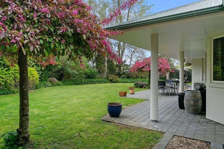 Photo of property in 37 Cowley Drive, Leamington, Cambridge, 3432