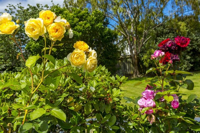 Photo of property in 42 Delaware Grove, Totara Park, Upper Hutt, 5018