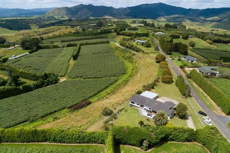 Photo of property in 485 Paerata Ridge Road, Waiotahe, Opotiki, 3198