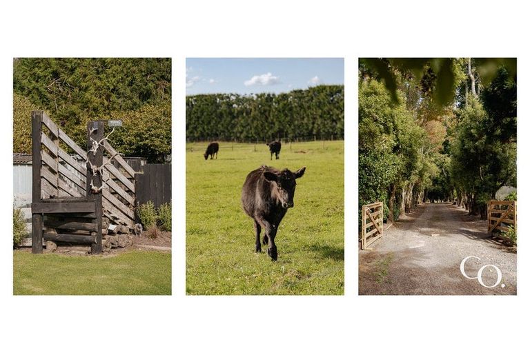 Photo of property in 573b Mclaren Falls Road, Omanawa, Tauranga, 3171