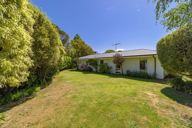 Photo of property in 117 Hamilton Avenue, Ilam, Christchurch, 8041