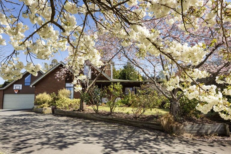 Photo of property in 51 Flower Street, Fairfield, Dunedin, 9018