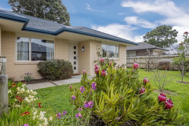 Photo of property in 71 Rugby Street, Levin, 5510