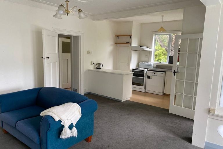 Photo of property in 41a Garfield Avenue, Roslyn, Dunedin, 9010