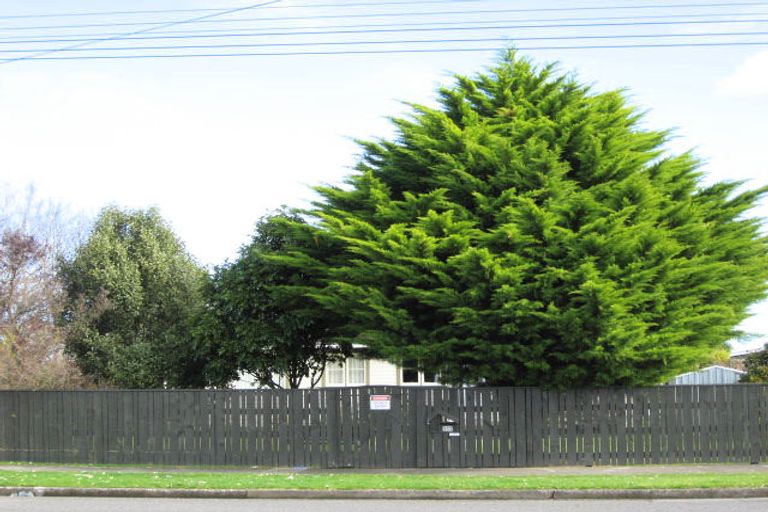 Photo of property in 133 Bartholomew Road, Levin, 5510