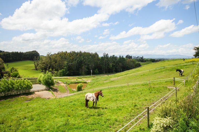 Photo of property in 184 Ranfurly Road, Feilding, 4702