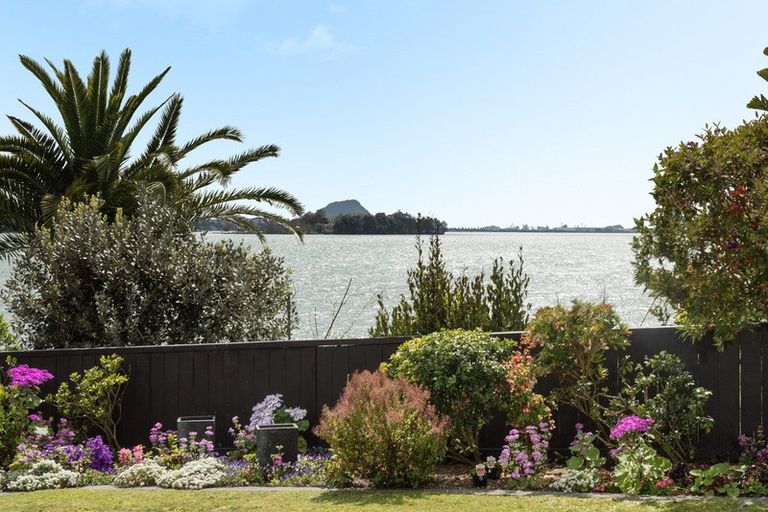 Photo of property in 16 Moiri Place, Maungatapu, Tauranga, 3112