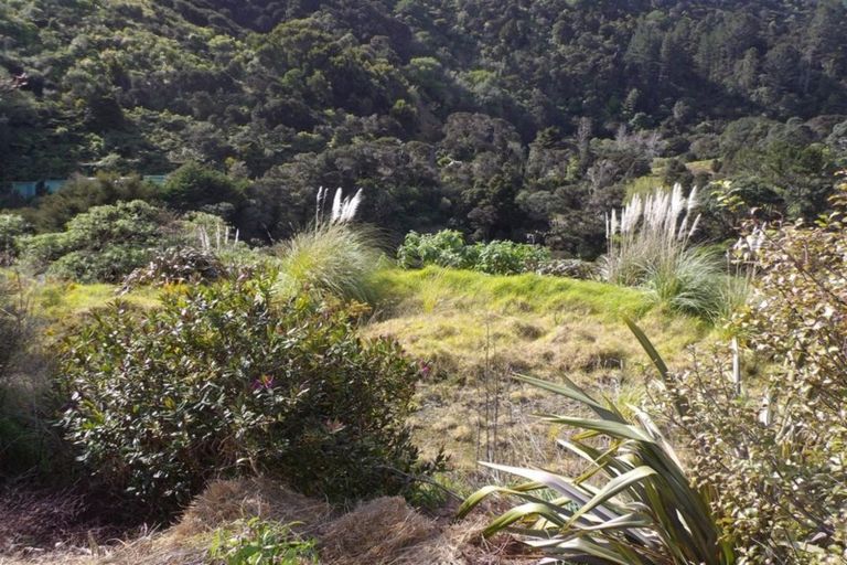 Photo of property in 65 Bennett Road, Te Mata, Thames, 3575