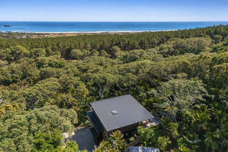 Photo of property in 167 Motutara Road, Muriwai, Waimauku, 0881