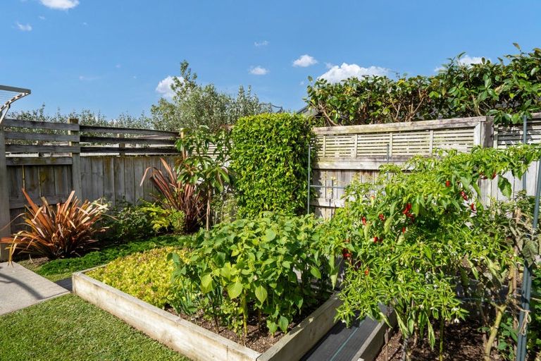 Photo of property in 7 Kingdon Street, Leamington, Cambridge, 3432