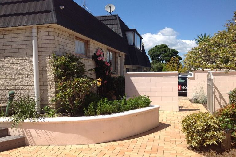 Photo of property in 12b Ascot Place, Mount Maunganui, 3116