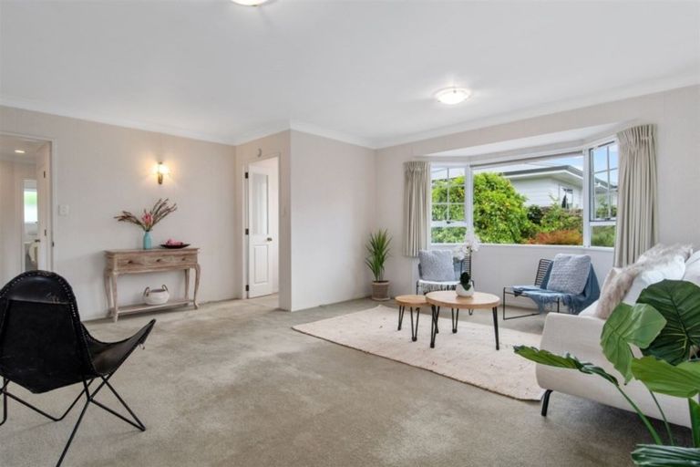 Photo of property in 11 Ngahere Street, Otumoetai, Tauranga, 3110
