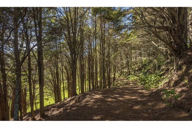 Photo of property in 32 Konini Street, Parahaki, Whangarei, 0112