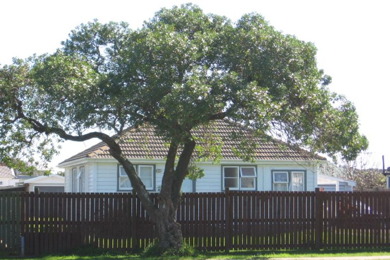 Photo of property in 17 Russell Street, Foxton, 4814