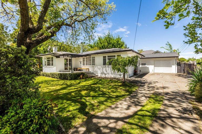 Photo of property in 23a Te Aute Road, Havelock North, 4130