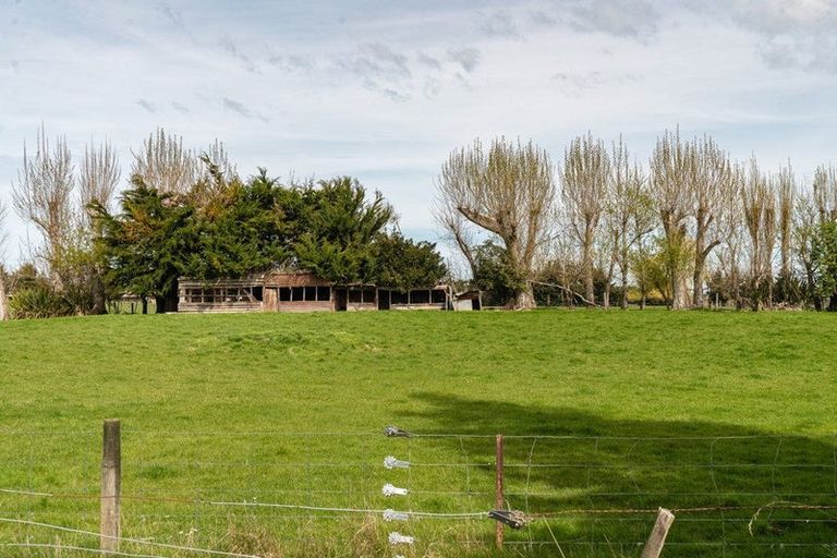 Photo of property in 37 North Branch Road, Milton, 9291