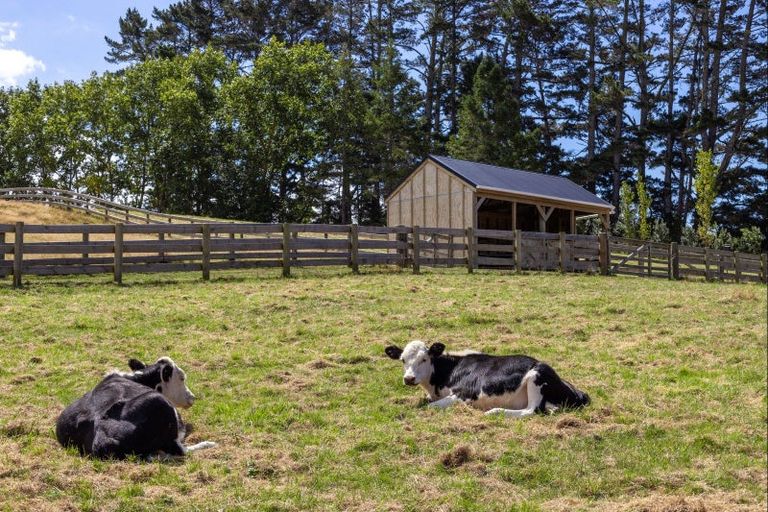 Photo of property in 41 Berenice Lane, Riverhead, Albany, 0793