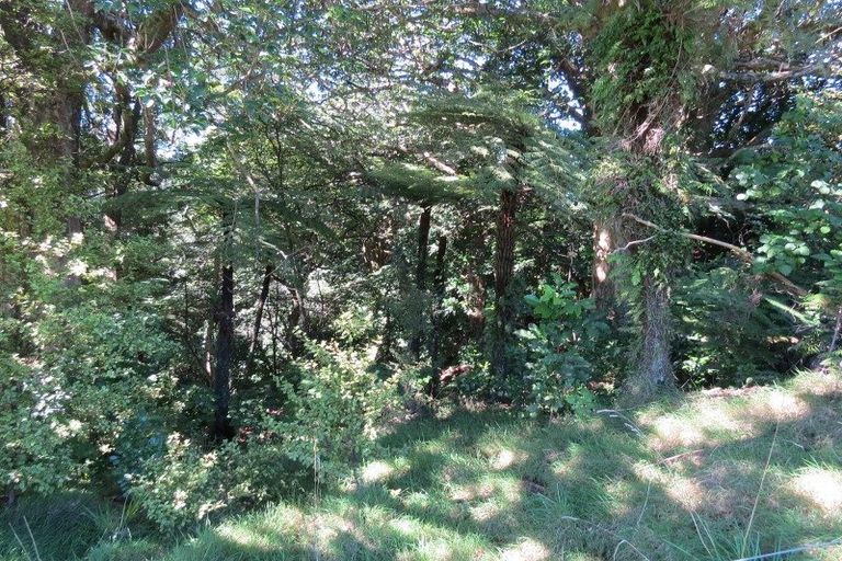 Photo of property in 294b Busby Road, Tahawai, Katikati, 3170