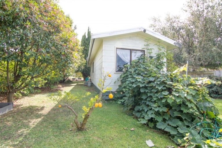 Photo of property in 94 Botanical Road, Takaro, Palmerston North, 4412