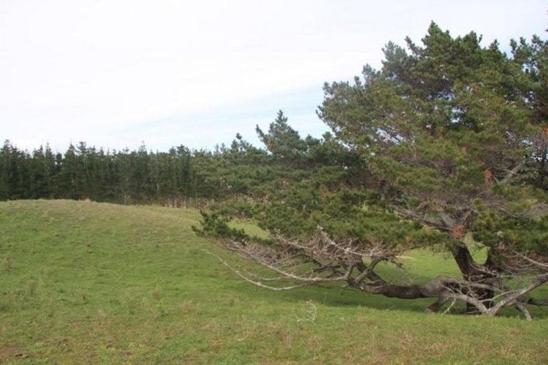 Photo of property in 2 Harrys Lane, Pukenui, 0484