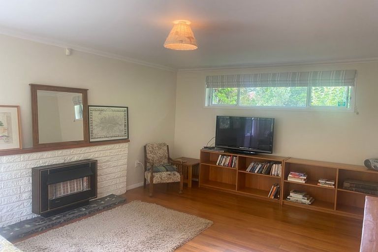 Photo of property in 45 Alfred Street, Roslyn, Palmerston North, 4414