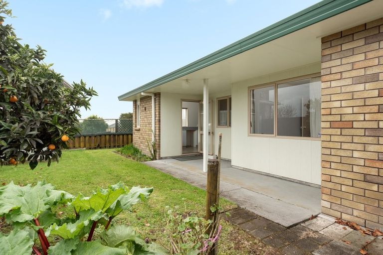 Photo of property in 59a Boucher Avenue, Te Puke, 3119